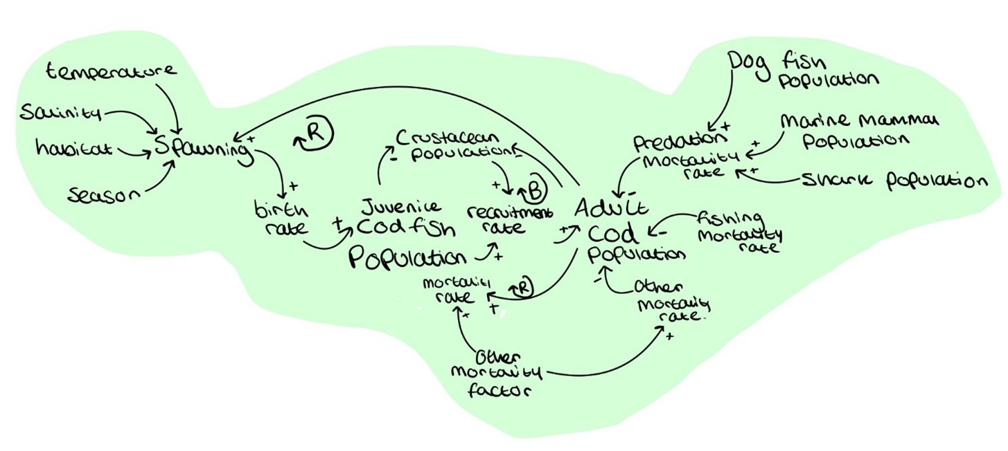 Environmental aspects impacting the cod population.